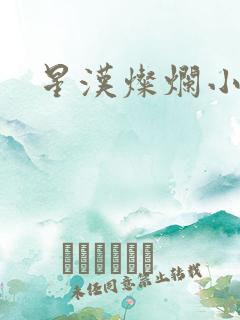 星汉灿烂小说