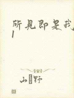 所见即是我1V1
