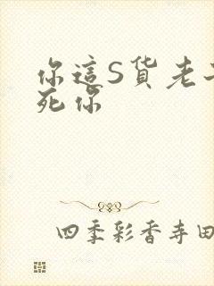 你这S货老子C死你