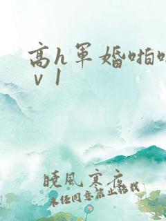高h军婚啪啪1ⅴ1