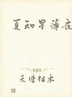 夏知星薄夜宸