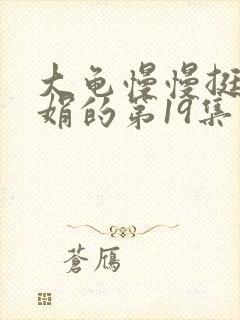 大龟慢慢挺进张娟的第19集