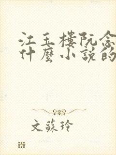 江玉楼阮念笙是什么小说的名字