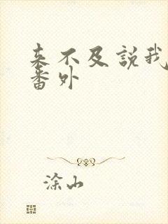 来不及说我爱你番外