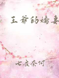 王爷的娇妻