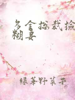 多金总裁捡到迷糊妻