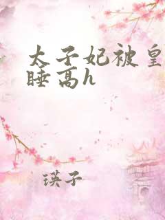 太子妃被皇上强睡高h