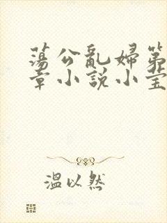 荡公乱妇第51章小说小莹
