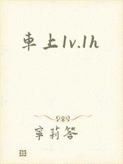 车上1v.1h