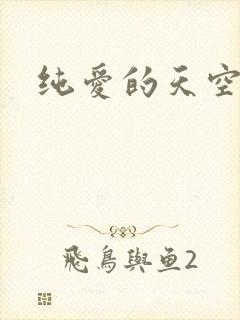 纯爱的天空