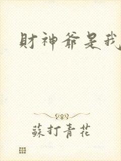 财神爷是我老板