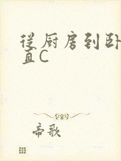 从厨房到卧室一直C