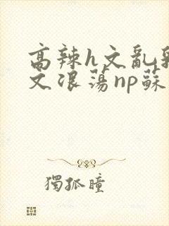 高辣h文乱乳h文浪荡np苏夏