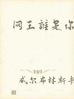 网王谁是你老婆