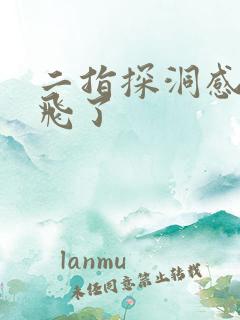 二指探洞感觉要飞了