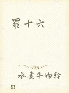 罗十六
