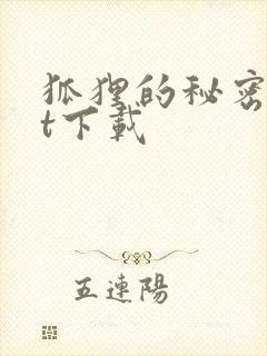 狐狸的秘密txt下载