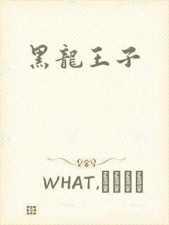 黑龙王子