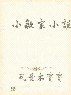 小敏家小说
