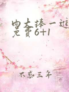 肉大捧一进一出免费6+1