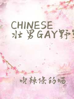 CHINESE壮男GAY野战强迫TUBE