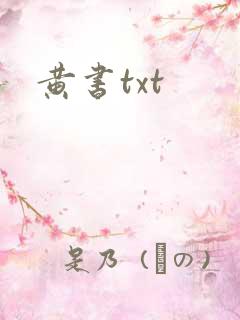 黄书txt