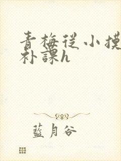青梅从小摸到大补课h