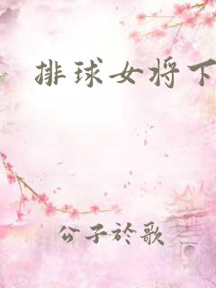 排球女将下载