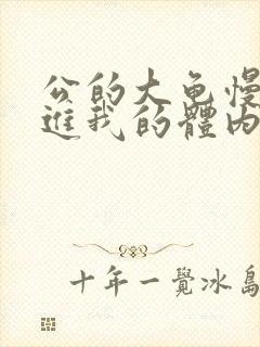 公的大龟慢慢挺进我的体内视频