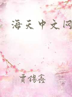 海天中文网