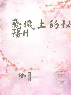 飞机上的秘密服务H