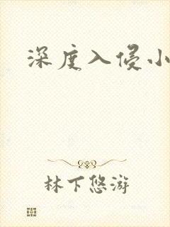 深度入侵小说