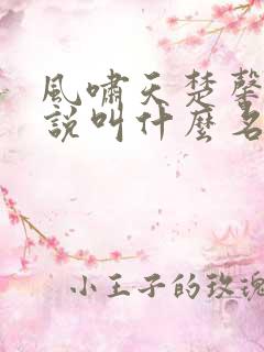 风啸天楚馨月小说叫什么名字