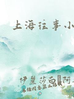 上海往事小说