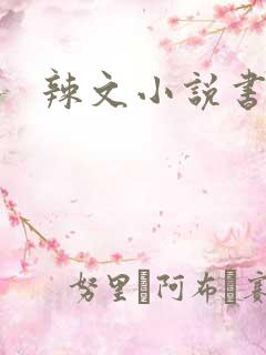 辣文小说书包网