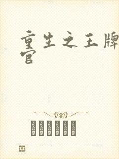 重生之王牌检察官