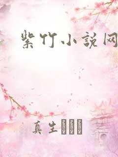 紫竹小说网