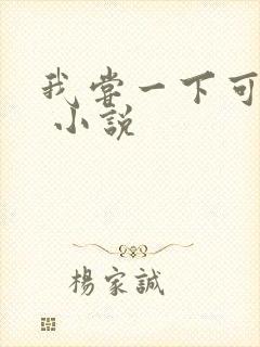 我尝一下可以吗 小说