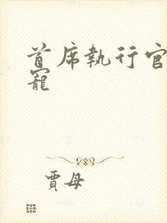 首席执行官的绝宠