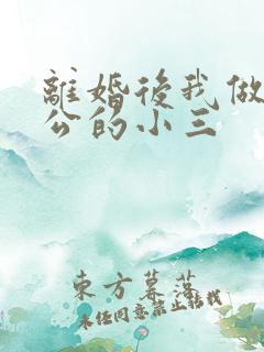 离婚后我做了老公的小三