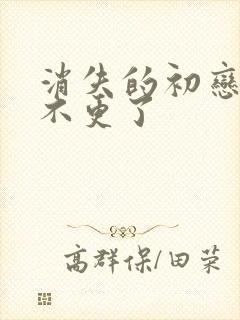 消失的初恋为啥不更了