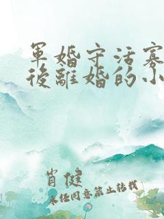 军婚守活寡重生后离婚的小说