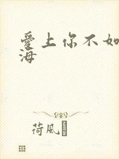 爱上你不如爱上海