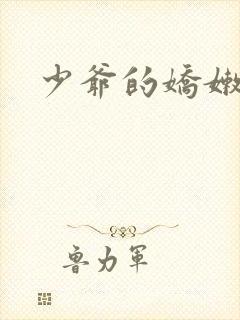 少爷的娇嫩女仆