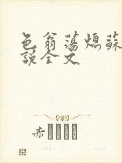 色翁荡熄苏钥小说全文