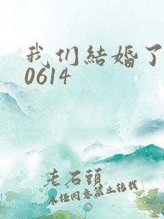 我们结婚了130614