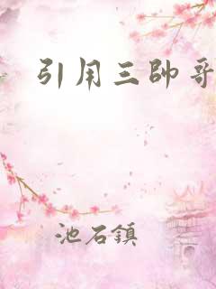 引用三帅哥