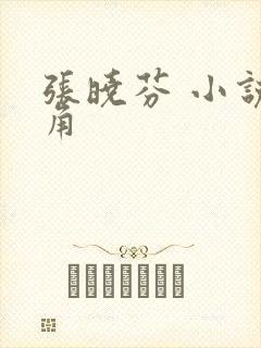 张晓芬 小说主角