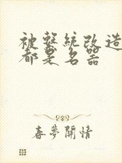 被系统改造全身都是名器