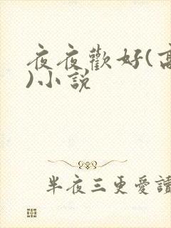 夜夜欢好(高h)小说